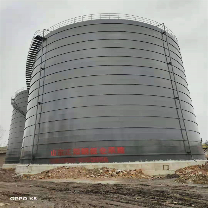 利津3万吨大型钢板库