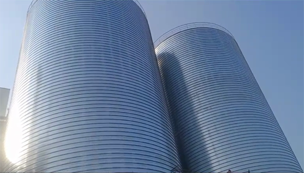 利津2座混凝土高架卷板仓